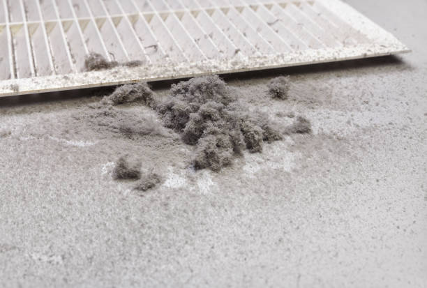 Best Commercial HVAC Duct Cleaning  in Goldenrod, FL